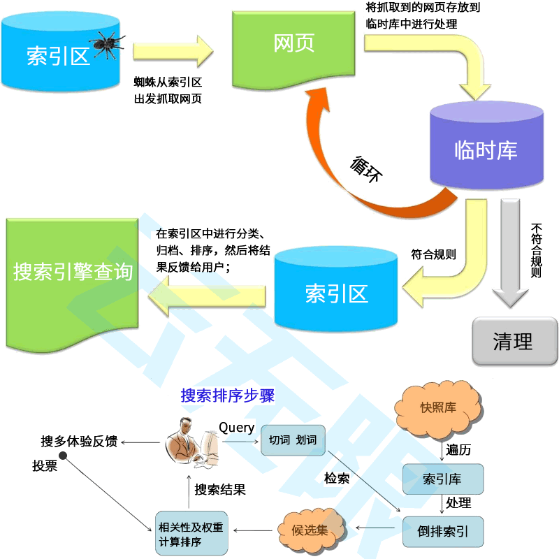 中涛云SEO